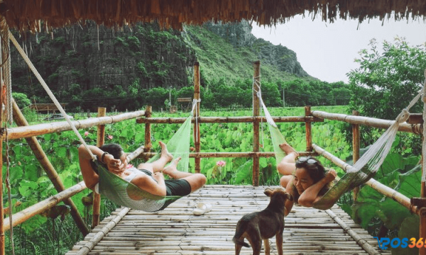 Kinh doanh Homestay cần bao nhiêu vốn và rủi ro