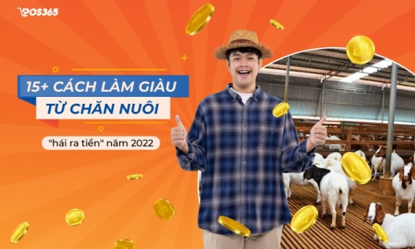 Gợi ý 15+ cách làm giàu từ chăn nuôi "hái ra tiền" năm 2024