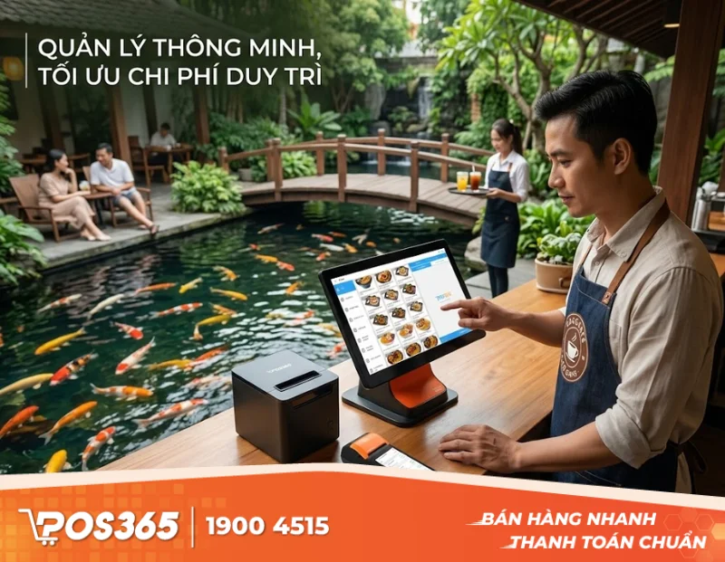 Mở quán cafe cá Koi: Cần chuẩn bị những gì để không bù lỗ chi phí duy trì?