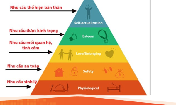 Tháp nhu cầu Maslow là gì? Cách ứng dụng trong F&B & Bán lẻ