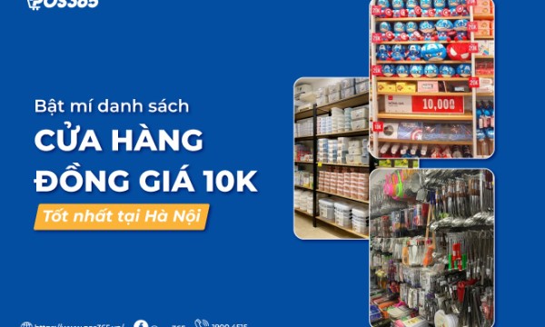 Cửa Hàng Đồng Giá 10K Hà Nội: Phân Tích Mô Hình & Vận Hành