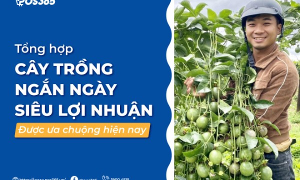 Tổng hợp cây trồng ngắn ngày siêu lợi nhuận được ưa chuộng hiện nay