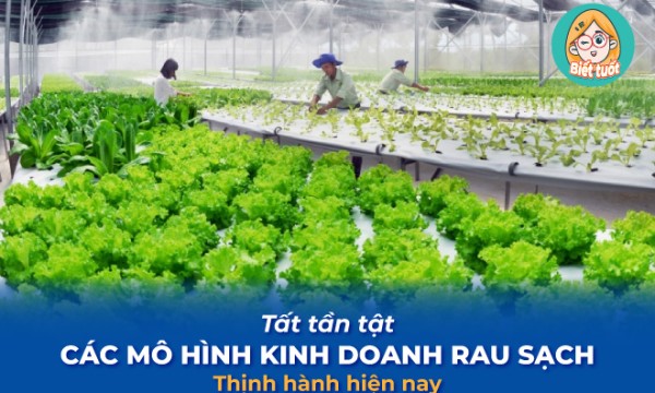 Tất tần tật các mô hình kinh doanh rau sạch thịnh hành hiện nay