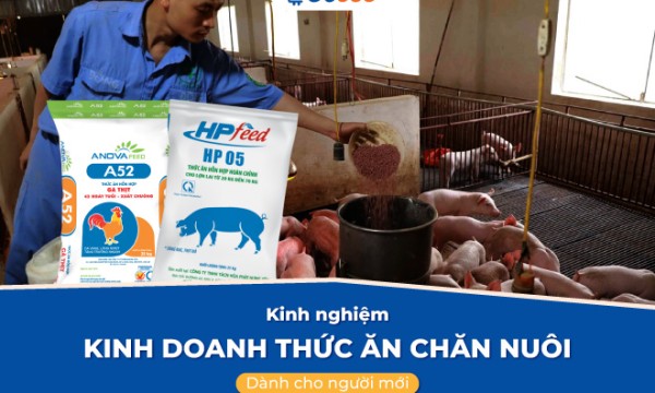 Kinh nghiệm kinh doanh thức ăn chăn nuôi dành cho người mới
