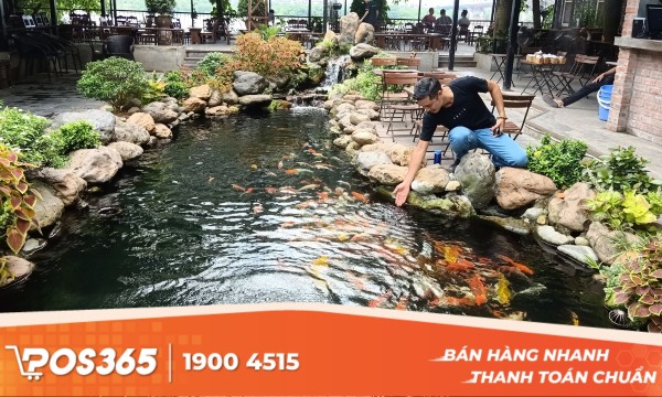 Bí quyết thiết kế mô hình cafe cá Koi đẹp, độc đáo, thu hút khách hàng