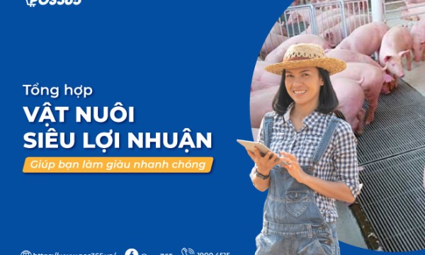 15+ vật nuôi siêu lợi nhuận có giá trị kinh tế cao ở Việt Nam hiện nay
