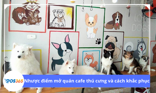 Nhược điểm mở quán cafe thú cưng và cách khắc phục