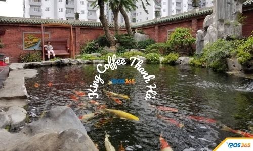 quán cafe cá koi ở hà nội