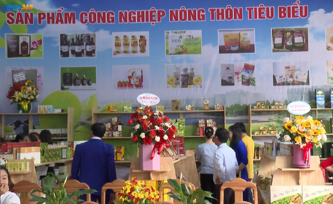 Giới thiệu sản phẩm