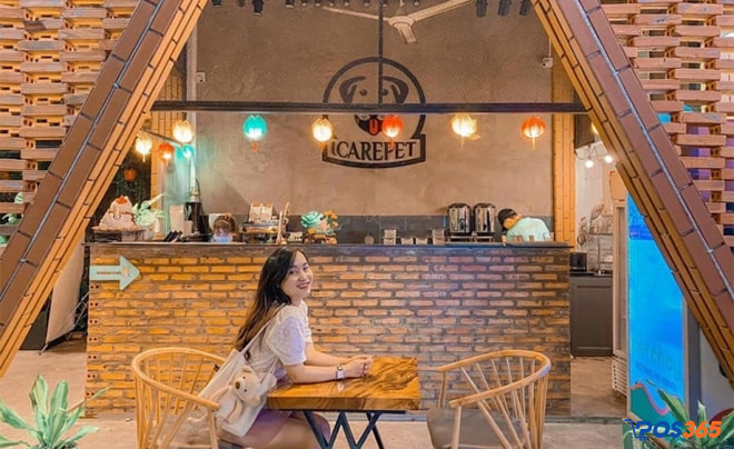 cafe thú cưng ở sài gòn