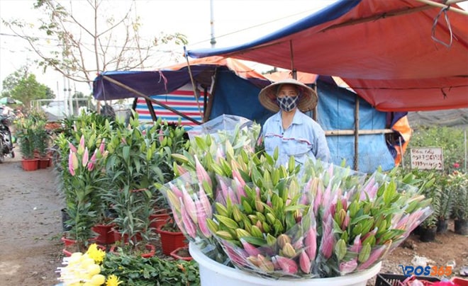 chợ đầu mối hoa tươi hà nội