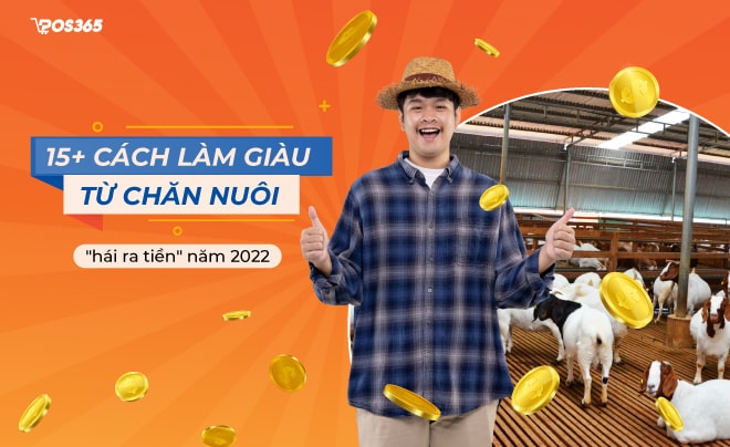 Gợi ý 15+ cách làm giàu từ chăn nuôi "hái ra tiền" năm 2022