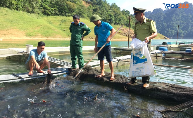 làm giàu từ chăn nuôi cá