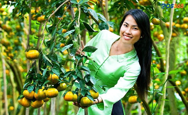 mô hình kinh doanh homestay kết hợp vườn trái cây