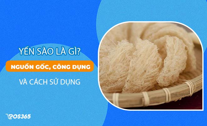 Yến sào là gì? Nguồn gốc, công dụng, cách sử dụng hiệu quả