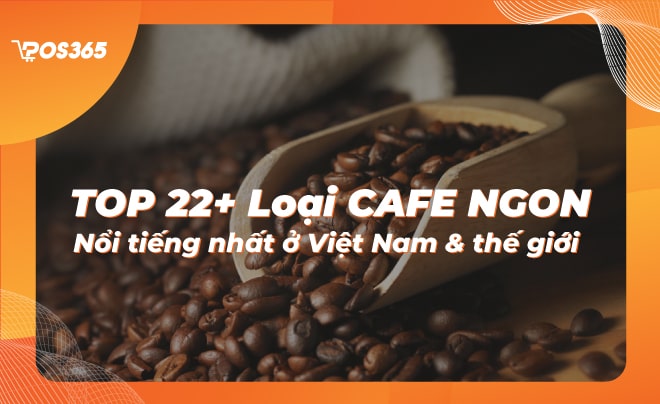 Top 22+ loại cafe ngon, nổi tiếng nhất ở Việt Nam & thế giới