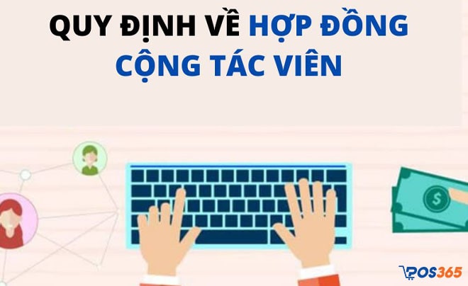 quy định về hợp đồng cộng tác viên