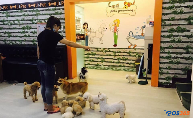 Cửa hàng thức ăn chó mèo ở Hà Nội J & Pet Shop