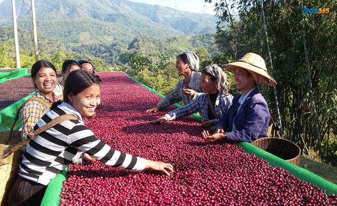 Lên kế hoạch tìm nhà cung cấp