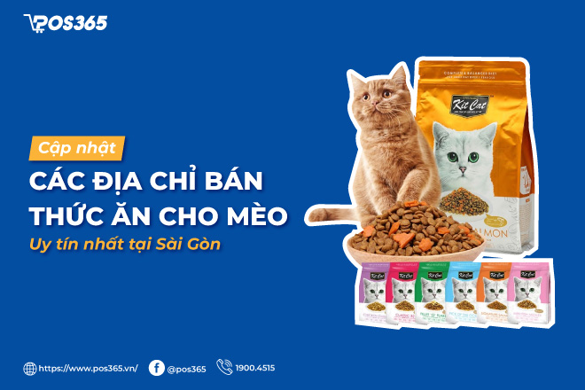Cập nhật 7 địa chỉ bán thức ăn cho mèo uy tín nhất tại Sài Gòn