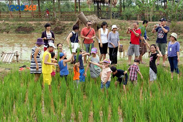 Du lịch nông thôn, trải nghiệm nông nghiệp