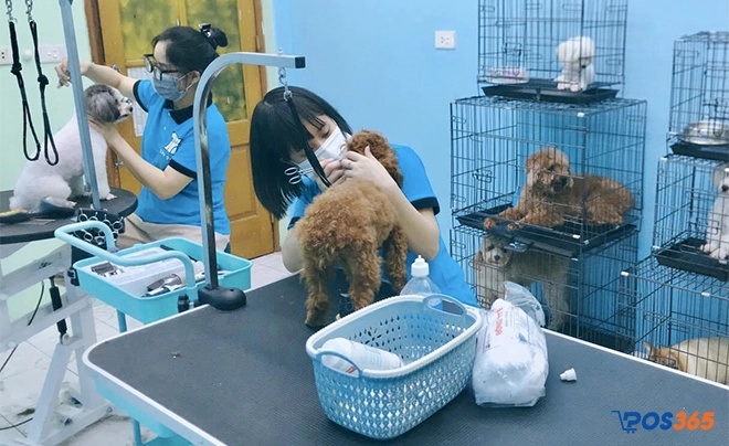 Pet Hi-Tech - Cửa hàng chăm sóc thú cưng hiện đại