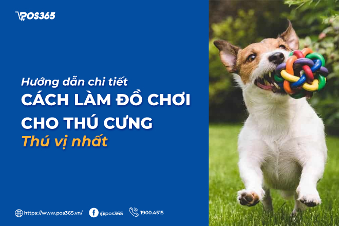 Hướng dẫn chi tiết cách làm đồ chơi thú cưng thú vị nhất 2023