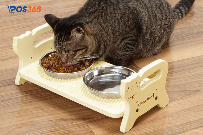 Làm thế nào để tìm được nhà cung cấp thức ăn cho mèo uy tín?