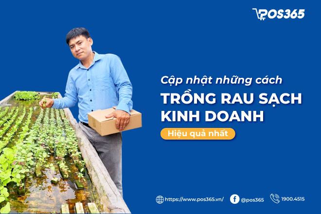Cập nhật những cách trồng rau sạch kinh doanh hiệu quả nhất 2023