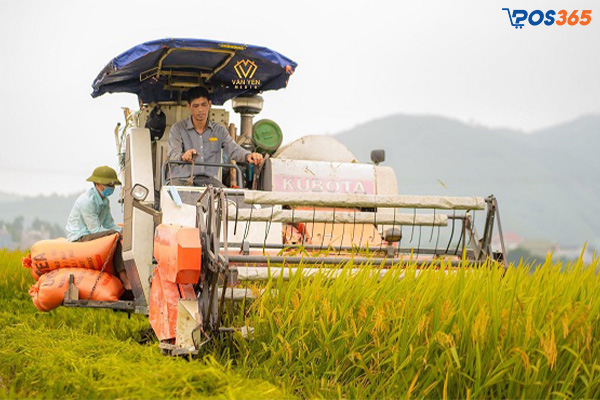 Khảo sát thị trường