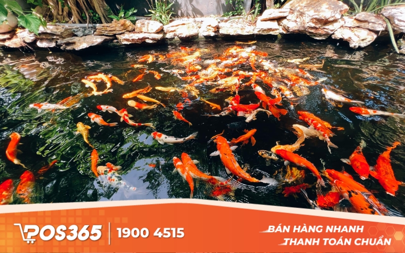 Chi phí nguyên vật liệu