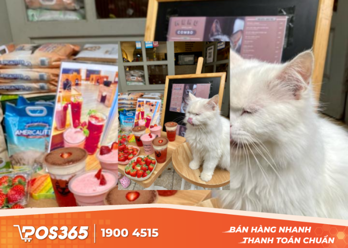 Ka Ka - The Pet Spa & Hotel