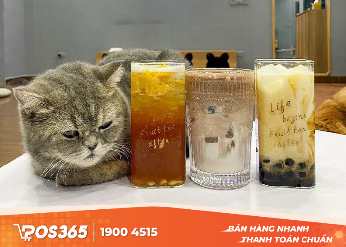 Rat Pet Shop – Cafe & Trà Sữa