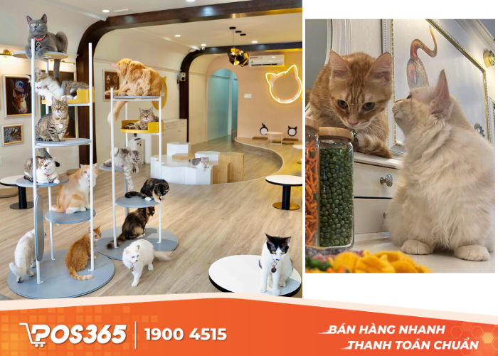Nên bảo vệ bản thân tốt khi đến với cafe chó mèo