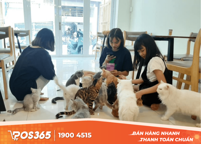 Cà phê Mèo Bin Bin thu hút nhiều bạn trẻ