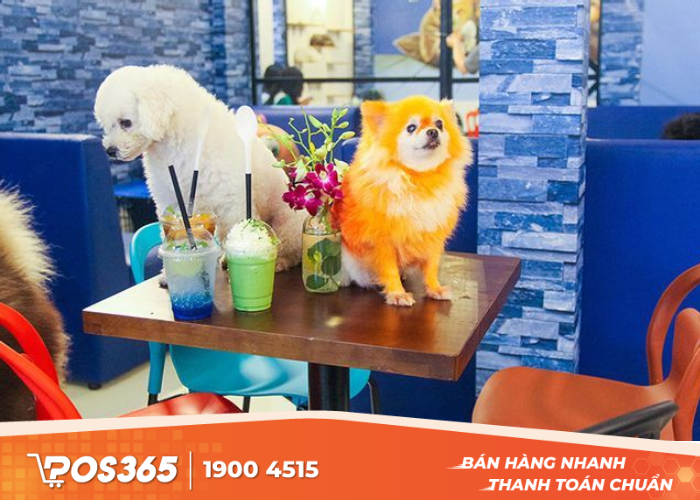 Saito Pet Cafe