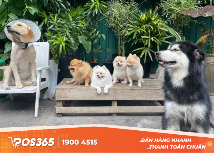Cafe chó mèo Amore Gardens Nha Trang