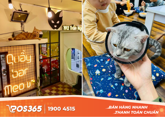 Quầy Bar Meow tại Nha Trang
