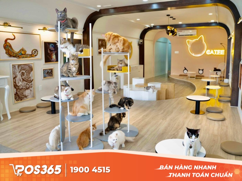 Cafe Pet Island - tiệm cà phê thú cưng đẹp