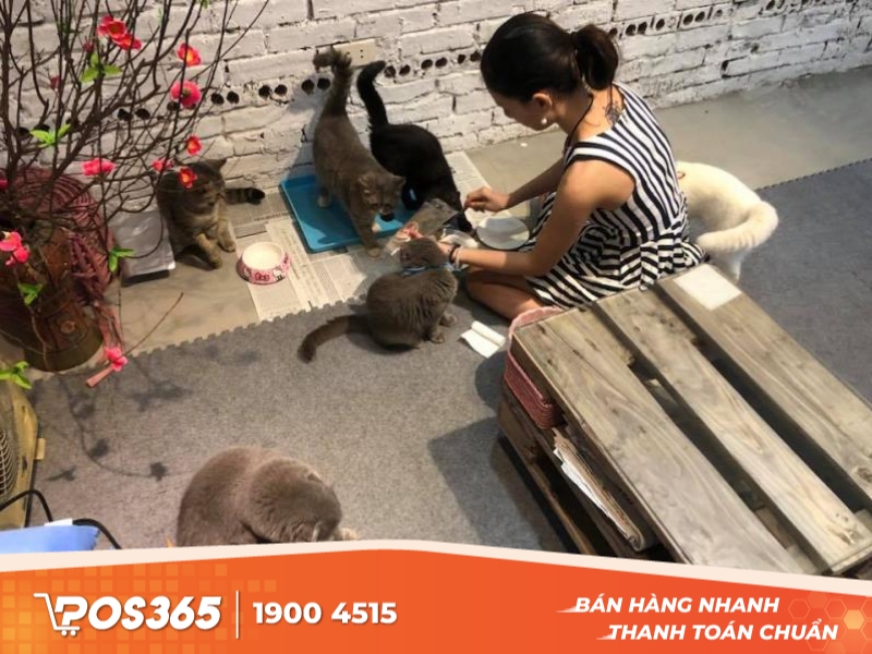 Lizzy House - Cafe thú cưng ở Hà Nội dễ thương