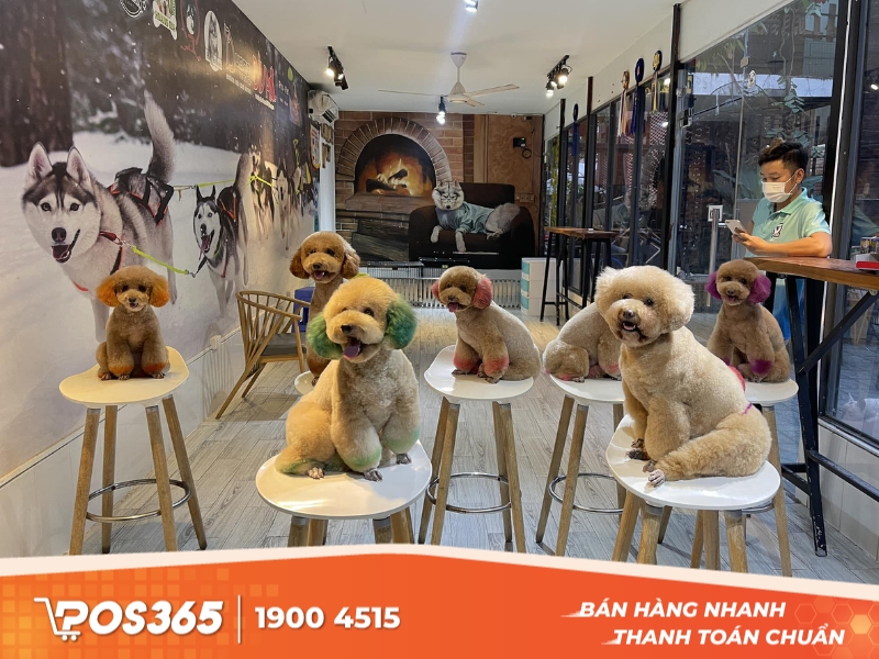 Altico Café - quán cà phê cho thú cưng vào siêu dễ thương