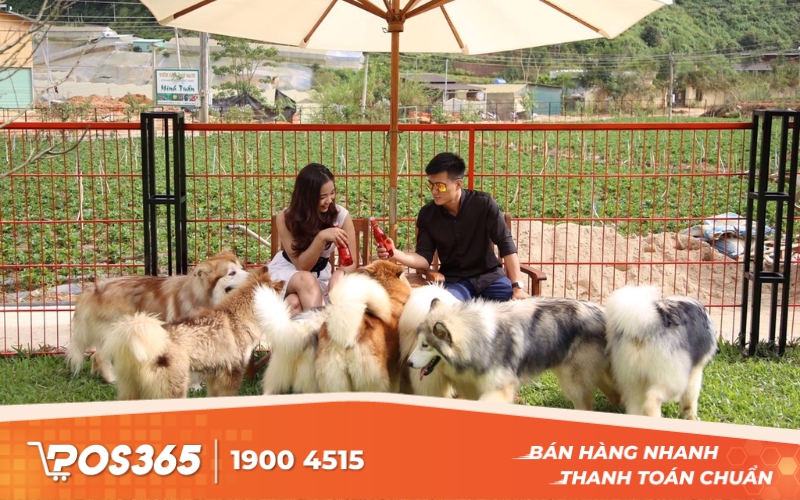 Hillside Hideaway - quán cafe thú cưng ở Đà Lạt