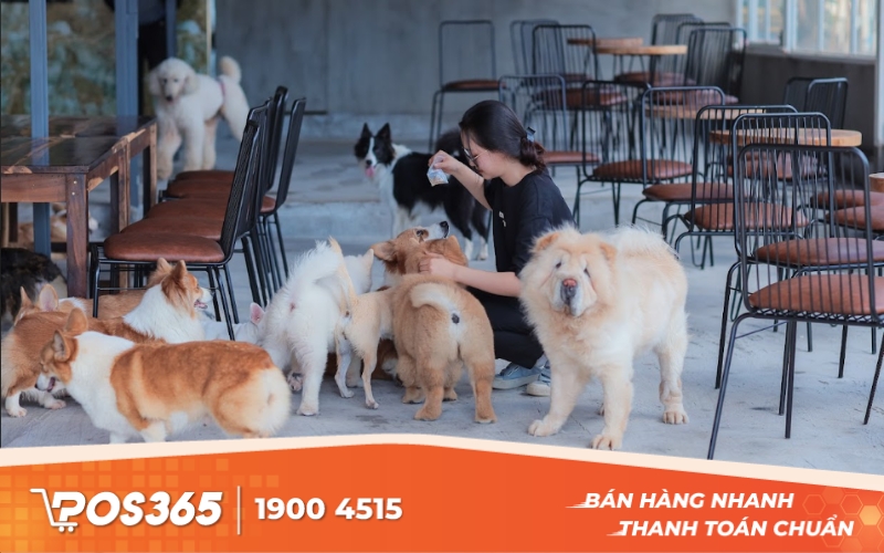 Nông trại cún Puppy Farm