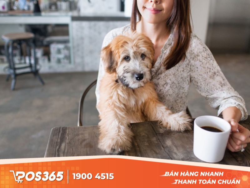 Cafe thú cưng ở Sài Gòn Stardog Cafe