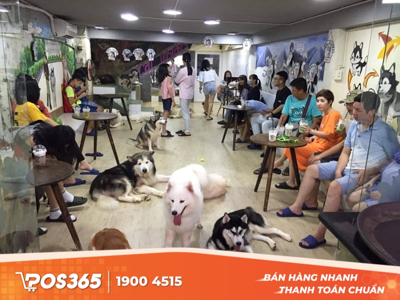 Hachiko Coffee - tiệm cà phê thú cưng TPHCM