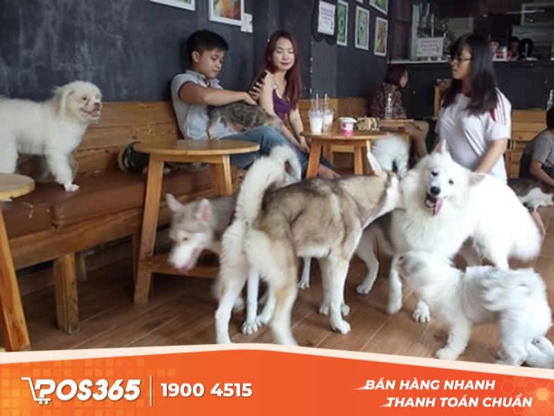 Pet Ideal Café - quán cà phê chó mèo nổi tiếng Sài Gòn