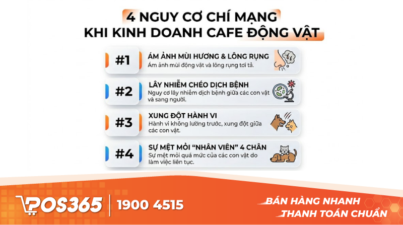 Bắt mạch 4 rủi ro 