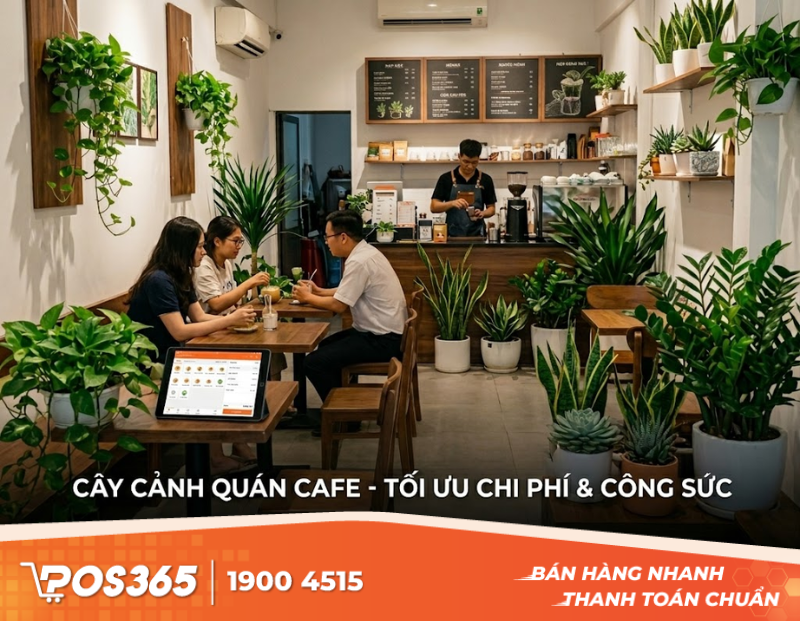 Tiêu chí chọn cây cảnh cho quán cafe tối ưu chi phí và công sức