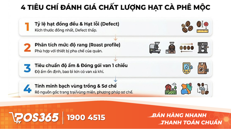 4 ti&ecirc;u ch&iacute; đ&aacute;nh gi&aacute; chất lượng hạt c&agrave; ph&ecirc; mộc trực quan