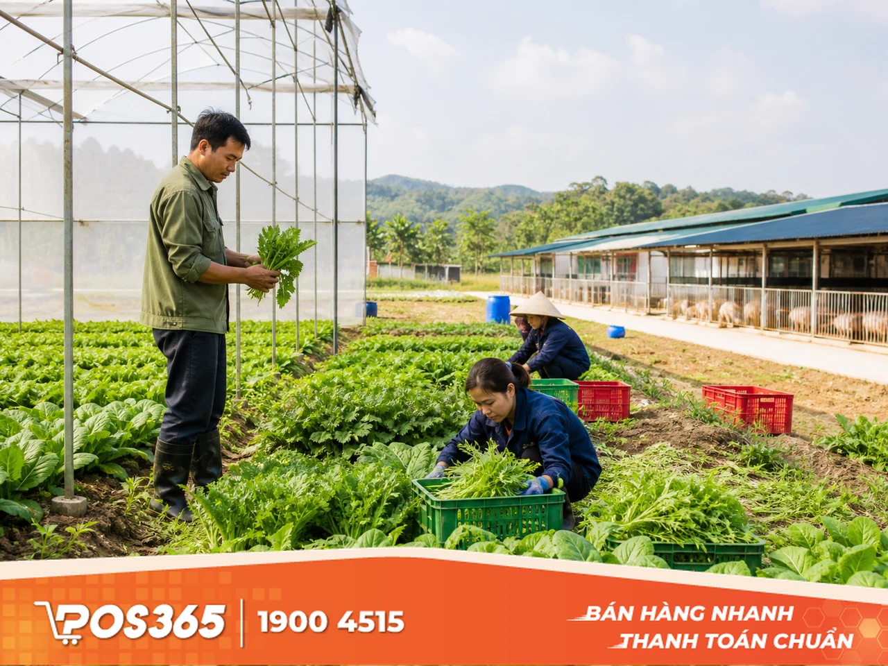 Chăn nu&ocirc;i, trồng trọt m&ocirc; h&igrave;nh VietGAP hoặc hữu cơ